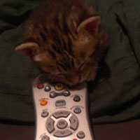 remote