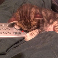 on the remote